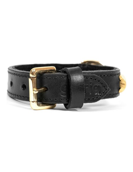Collier pour Chien Gloria Duna Noir Doré (35 x 2 cm)