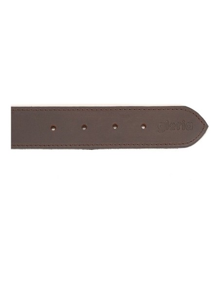 Collier pour Chien Gloria Marron 70 cm (70 x 4 cm)