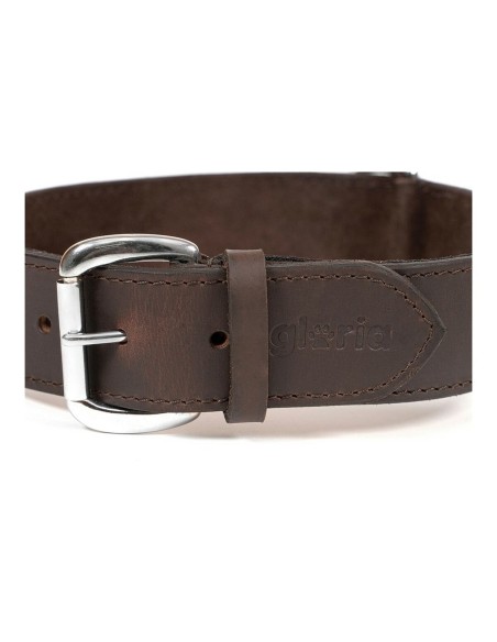Collier pour Chien Gloria Marron 70 cm (70 x 4 cm)