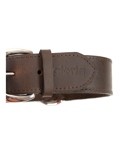 Collier pour Chien Gloria Marron 70 cm (70 x 4 cm)