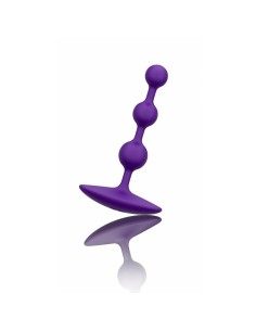 Plug Anal Romp