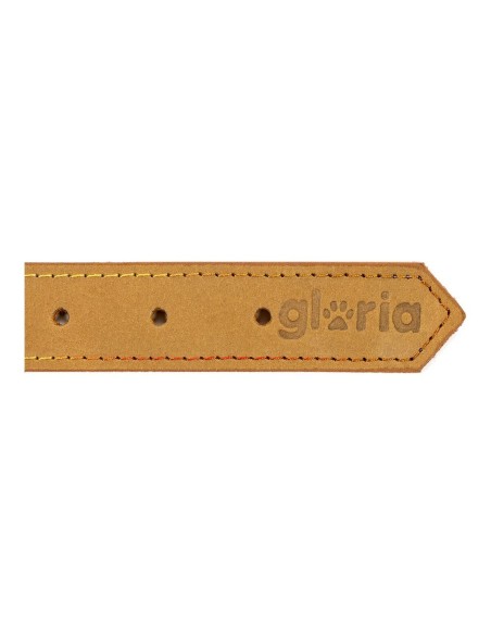 Collier pour Chien Gloria Oasis Jaune (70 x 3 cm)