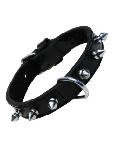 Collier pour Chien Gloria Noir Clous (45 cm)