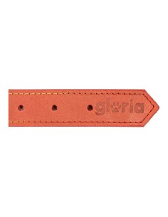 Collier pour Chien Gloria Oasis Rouge (65 x 3 cm) 2
