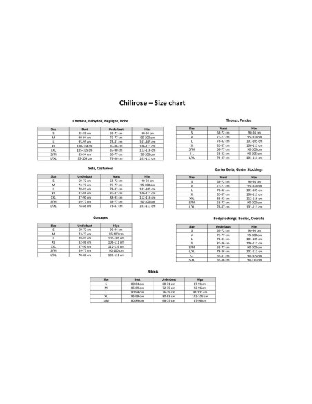 Costume Érotique Chilirose XL 5 Pièces