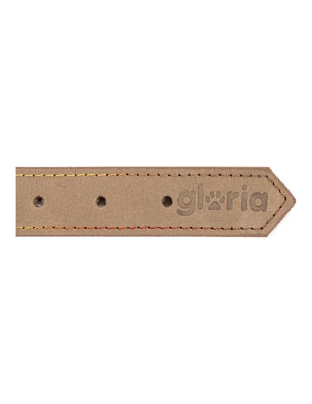 Collier pour Chien Gloria Oasis Blanc (60 x 3 cm)