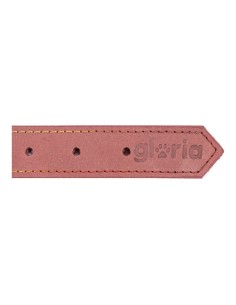 Collier pour Chien Gloria Oasis Rose (50 x 2,1 cm) 2