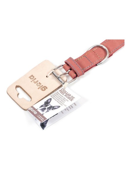 Collier pour Chien Gloria Oasis Rose (50 x 2,1 cm)