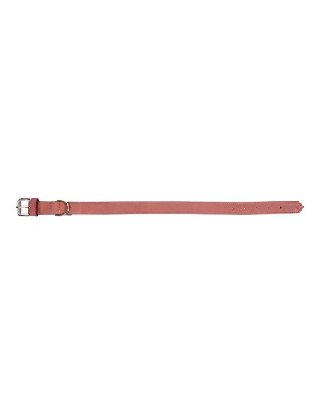 Collier pour Chien Gloria Oasis Rose (50 x 2,1 cm)