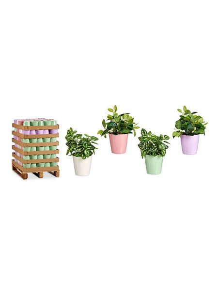 Pot Ibergarden LINCE-CLAROS Blanc Vert Rose Lila Argile 16,5 x 16 x 16,5 cm (120 Unités)