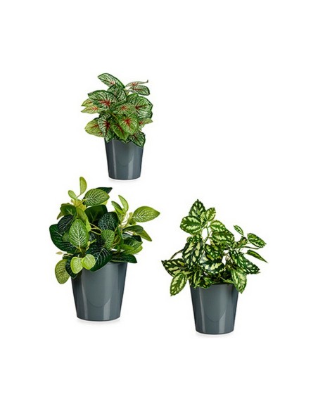 Set de pots Ibergarden LINCE PQ - 7011 Anthracite Argile (6 Unités)
