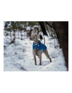 Manteau pour Chien Red Dingo Puffer 45 cm Turquoise 2