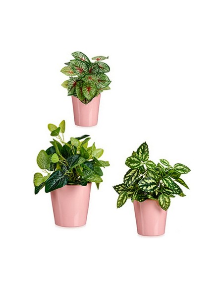 Set de pots Ibergarden LINCE PQ - 3015 Rose Argile (6 Unités)