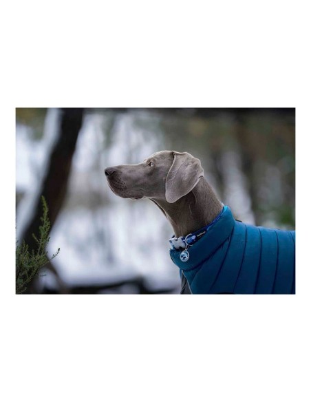 Manteau pour Chien Red Dingo Puffer Turquoise 40 cm