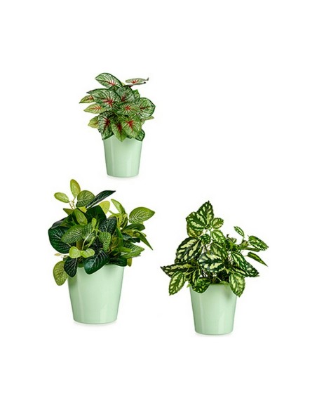 Set de pots Ibergarden LINCE PQ - 6019 Vert Argile (6 Unités)
