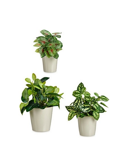 Set de pots Ibergarden LINCE PQ - 7044 Gris Argile (6 Unités)