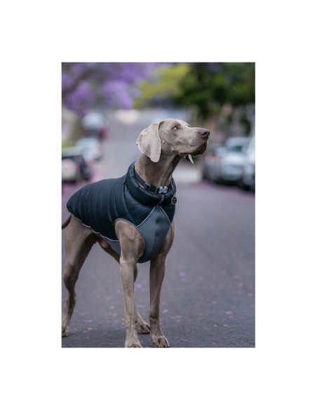 Manteau pour Chien Red Dingo Puffer 50 cm Noir/Gris