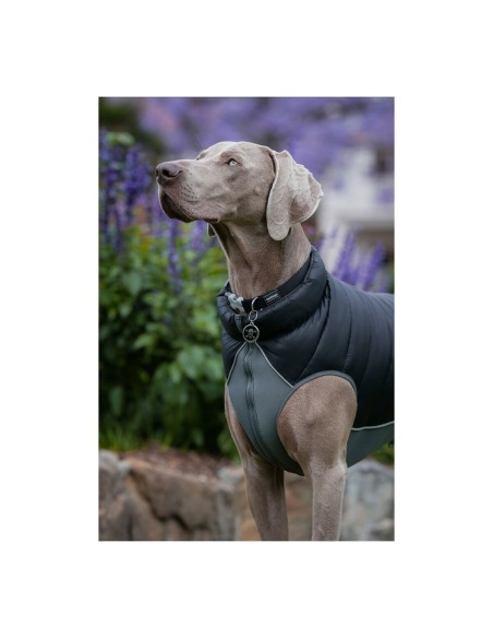 Manteau pour Chien Red Dingo Puffer 50 cm Noir/Gris