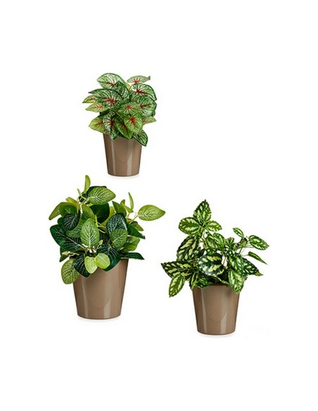 Set de pots Ibergarden LINCE PQ - 7006 Taupe Argile (6 Unités)