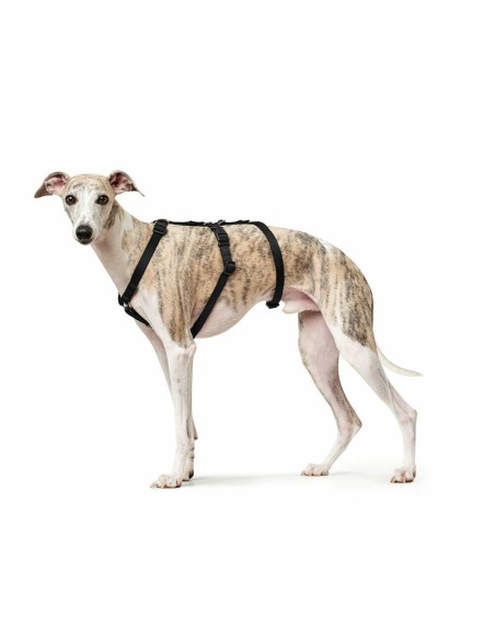 Harnais pour Chien Hunter Noir L M/L