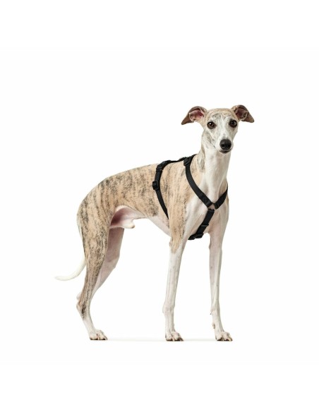 Harnais pour Chien Hunter Noir L M/L