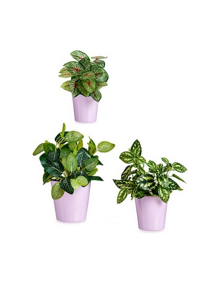 Set de pots Ibergarden LINCE PQ - SMC Lila Argile (6 Unités)