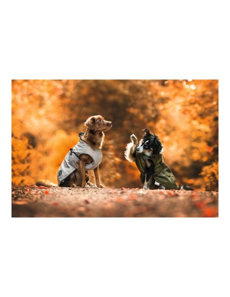 Manteau pour Chien Norton 360 Uppsala 45 cm Marron