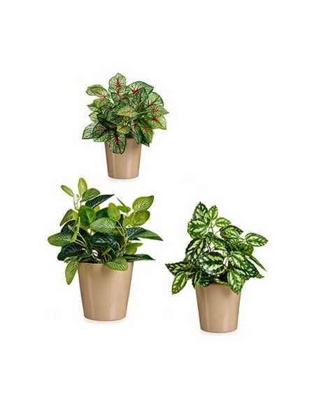 Set de pots Ibergarden LINCE PQ - TOPO Beige Argile (6 Unités)
