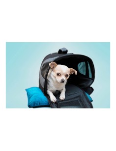 Cage de Transport Gloria Gloss Taille S Pliable Noir black (35 x 22 x 23 cm) 2