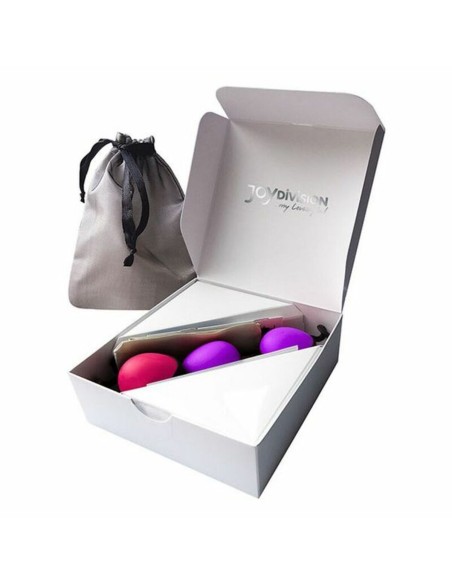 Kit de Poids Vaginaux Kegel Joydivision Secret Rose Noir Pourpre