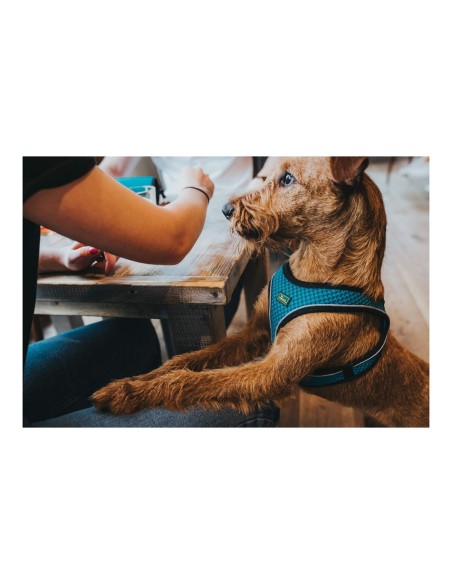 Harnais pour Chien Hunter Hilo Comfort 55-60 cm Taille M Turquoise