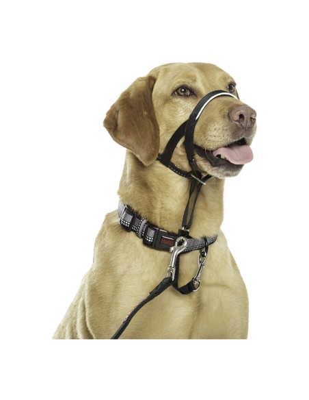 Collier d'entraînement pour chiens Company of Animals Halti Noir Muselière (40-54 cm)