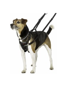 Harnais pour Chien Company of Animals Halti Taille S (26-36 cm) 2