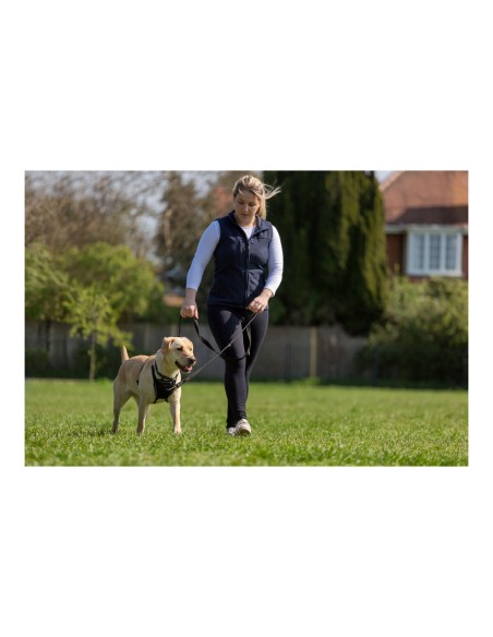 Harnais pour Chien Company of Animals Halti Taille S (26-36 cm)
