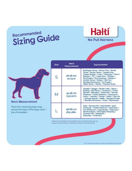 Harnais pour Chien Company of Animals Halti Taille S (26-36 cm)