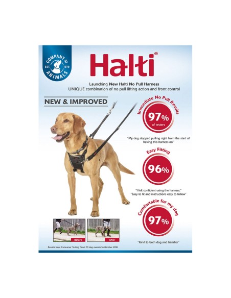 Harnais pour Chien Company of Animals Halti Taille S (26-36 cm)