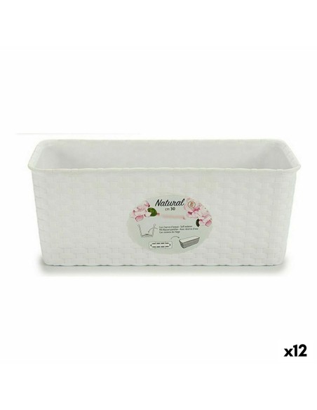 Jardinière Stefanplast Blanc Plastique 13 x 11 x 28,5 cm (12 Unités)