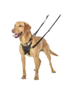 Harnais pour Chien Company of Animals Halti Taille M (34-56 cm) 2