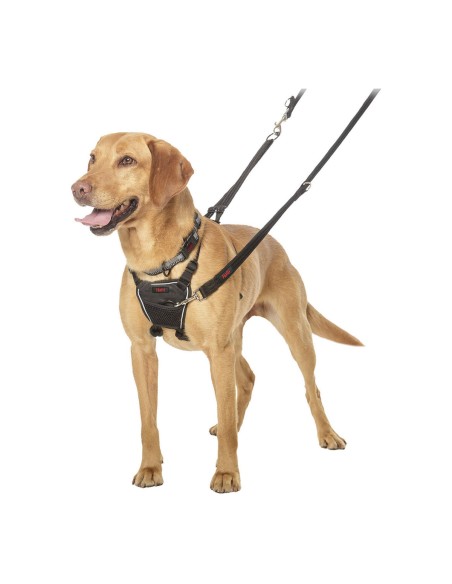 Harnais pour Chien Company of Animals Halti Taille M (34-56 cm)