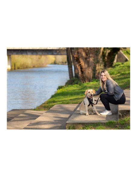 Harnais pour Chien Company of Animals Halti Taille M (34-56 cm)