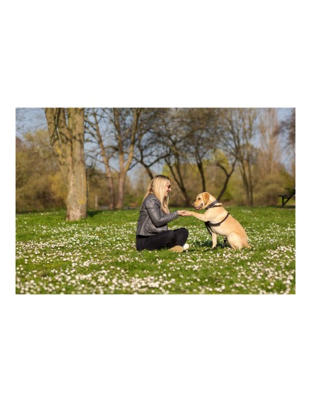 Harnais pour Chien Company of Animals Halti Taille M (34-56 cm)