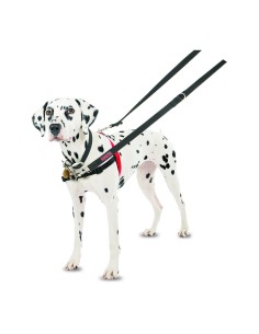 Harnais pour Chien Company of Animals Halti Noir/Rouge Taille M (58-86 cm) 2