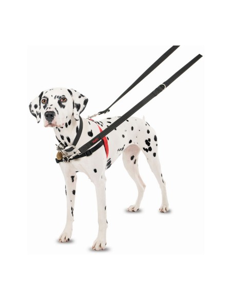 Harnais pour Chien Company of Animals Halti Noir/Rouge Taille M (58-86 cm)