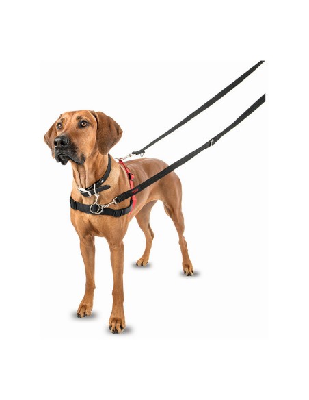 Harnais pour Chien Company of Animals Halti Noir/Rouge Taille M (58-86 cm)