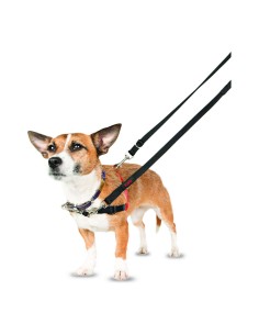 Harnais pour Chien Company of Animals Halti Noir/Rouge Taille S (36-64 cm) 2