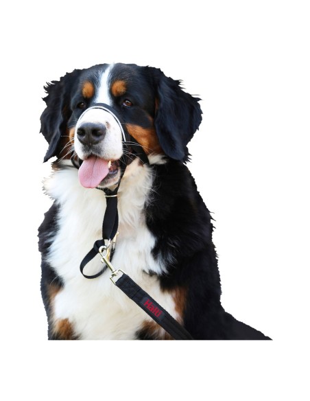 Collier d'entraînement pour chiens Company of Animals Halti Noir Muselière (29-36 cm)