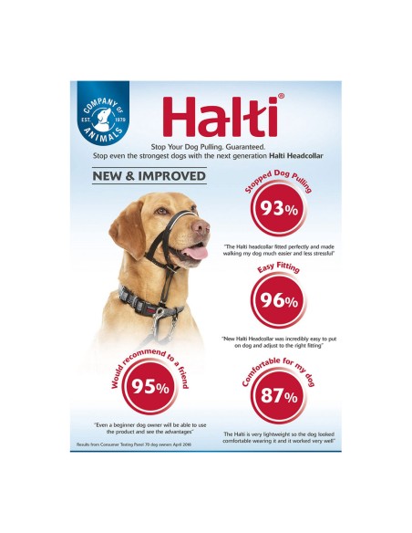 Collier d'entraînement pour chiens Company of Animals Halti Noir Muselière (29-36 cm)