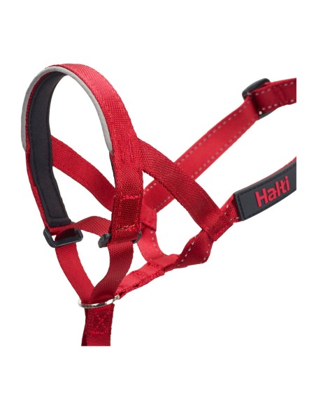 Collier d'entraînement pour chiens Company of Animals Halti Muselière (35-48 cm)