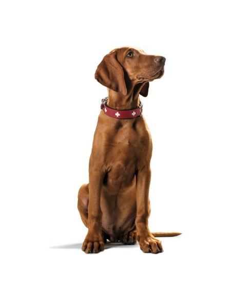 Collier pour Chien Hunter Swiss Rouge/Noir (38-43.5 cm)