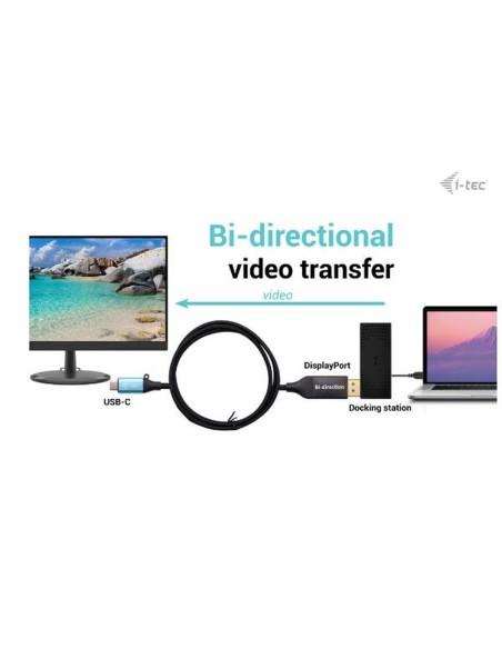 Câble USB i-Tec C31CBLDP8KBIDIR Noir